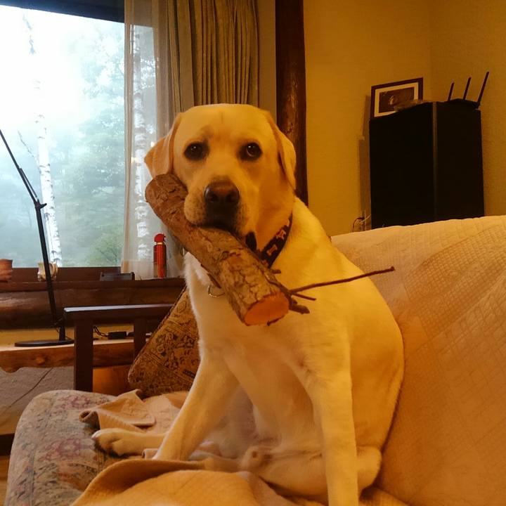 24ac1696 7e9d 4a86 9afd c04895fb78e1