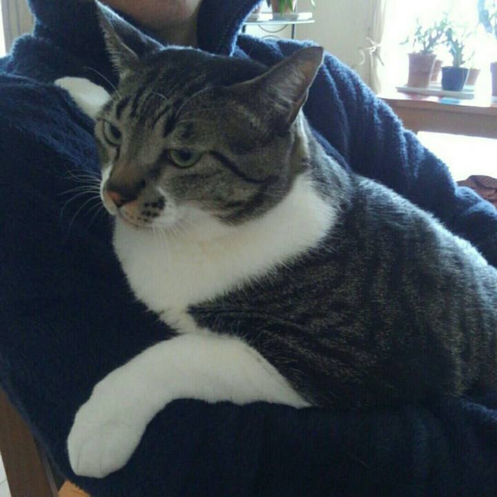 24ac399e acef 4fd3 b5ea 850a2ba51d3a