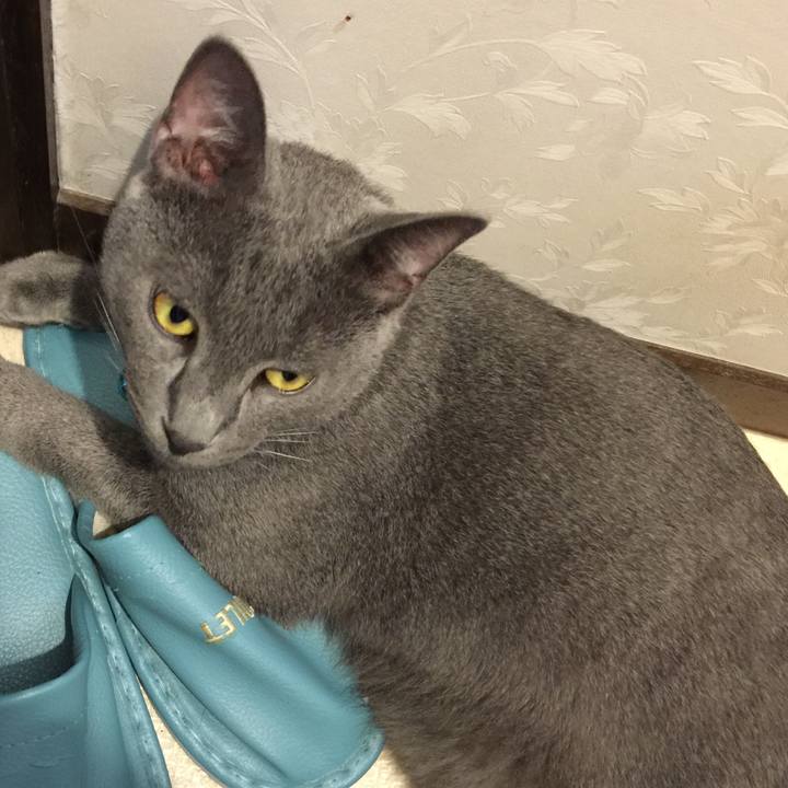 24ad23e7 e607 4970 8fe5 32f2b80f7111