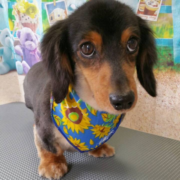 24ad67da 4c92 4036 bb17 b89e210a834b