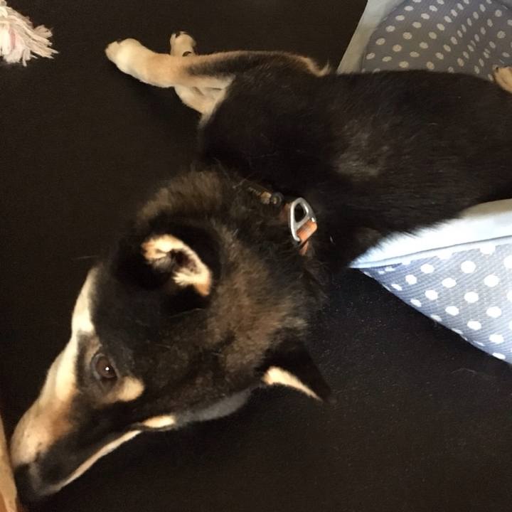 24ad8fe0 56a9 4be2 a8bd b97bbf926718