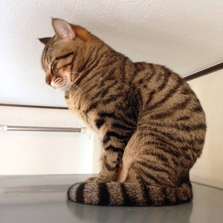 24adaad4 9022 47f7 9049 434a161ea8fc