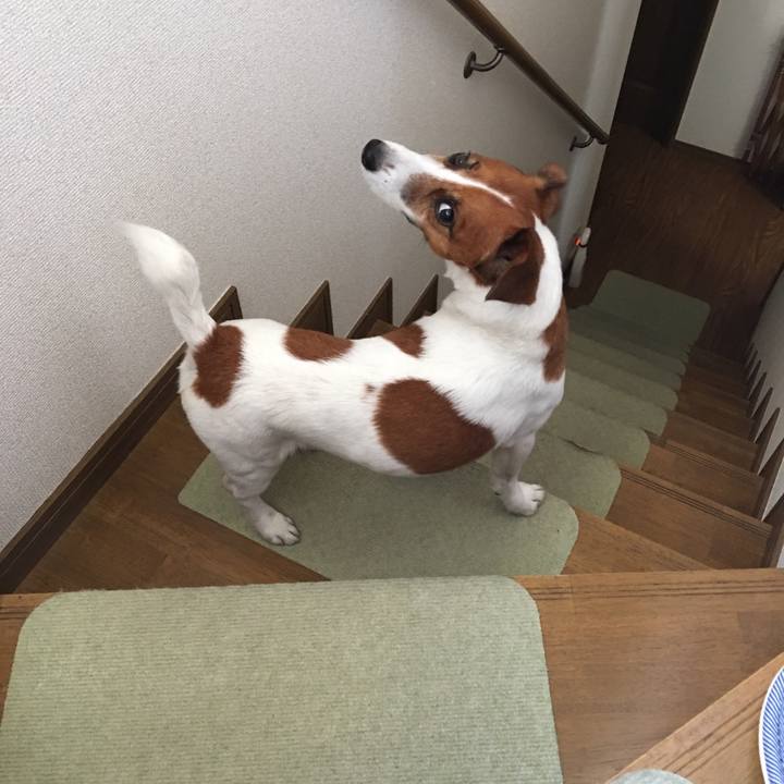 24ae4021 861e 4287 bd6e d479f9aa8cc8