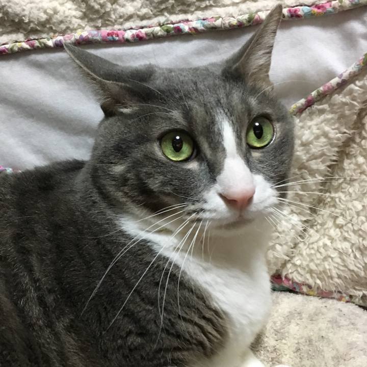 24aea9e1 ddec 4d1d a7d2 c3289de23a56