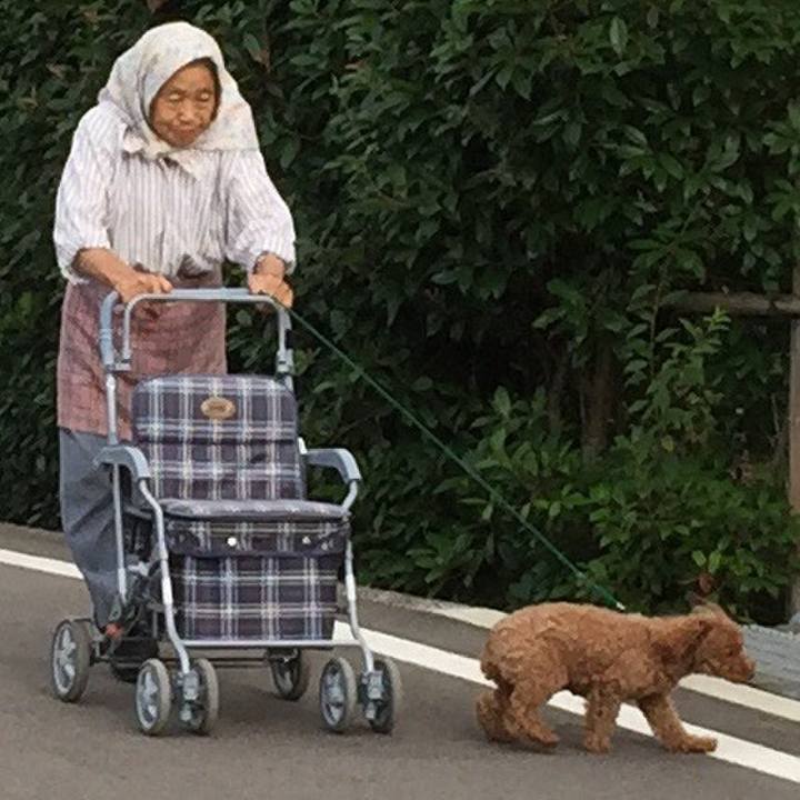 24aec2db 512d 461c afd9 b88f37608054