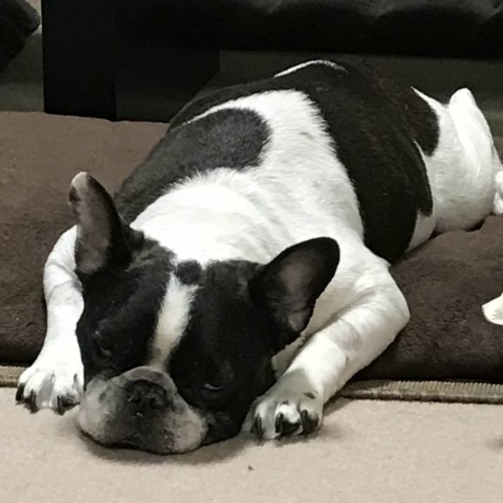 24aef7fa 6885 49f9 afde 8d45016af30a