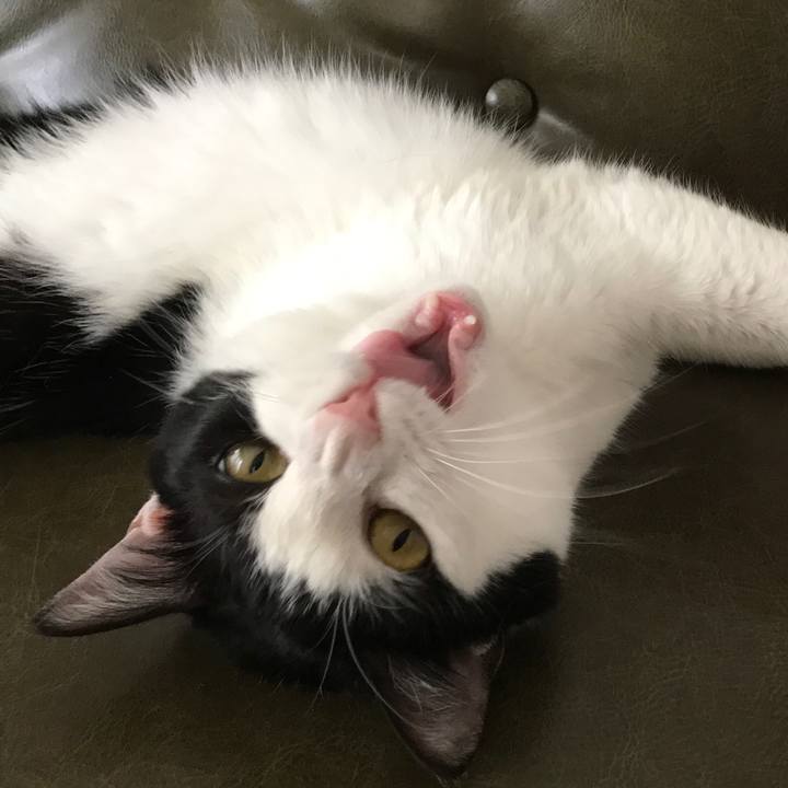 24afa229 faa5 47b3 ac1f 7cf800cec5f0