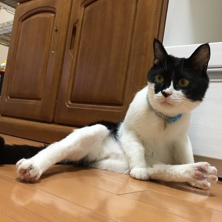 24b0aed2 b38d 47b5 a6f5 8f58080cf256