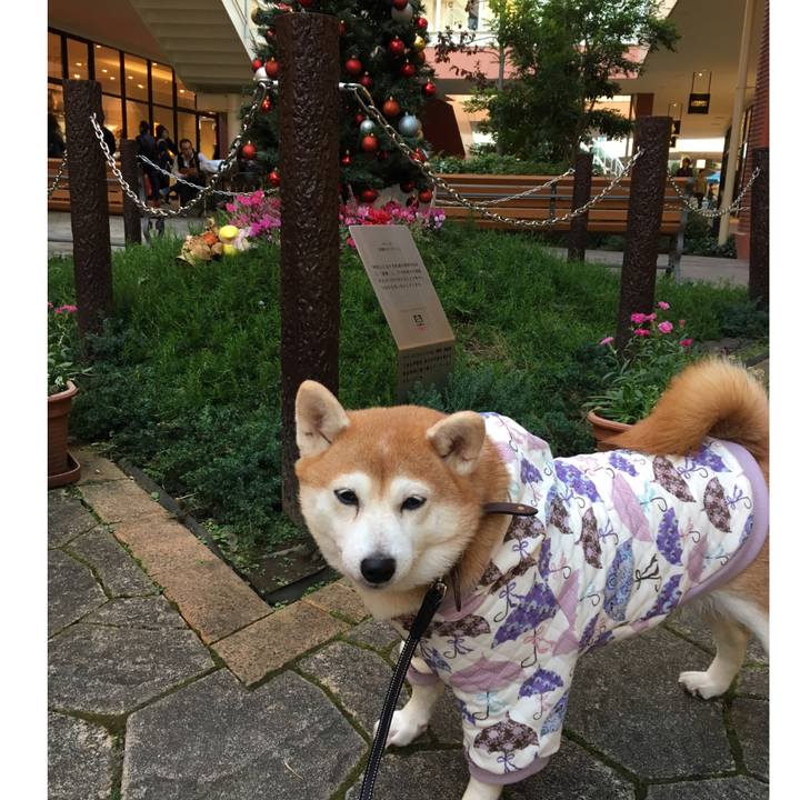 24b1216c 9919 4cc3 b5d9 807fd9deb429