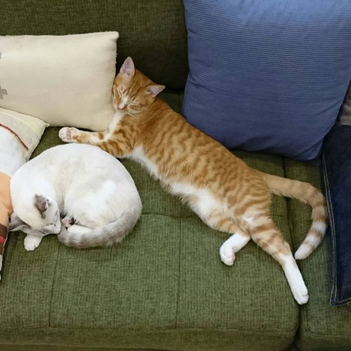 24b12add 9ced 4b50 a8cc 7716dbd090e4