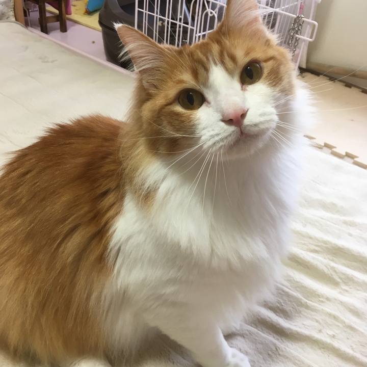 24b13374 3e72 48f0 a174 6a330ceb6cc7