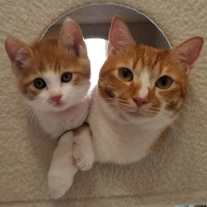 24b18db2 052b 4766 a22d 2ec83102a7f7