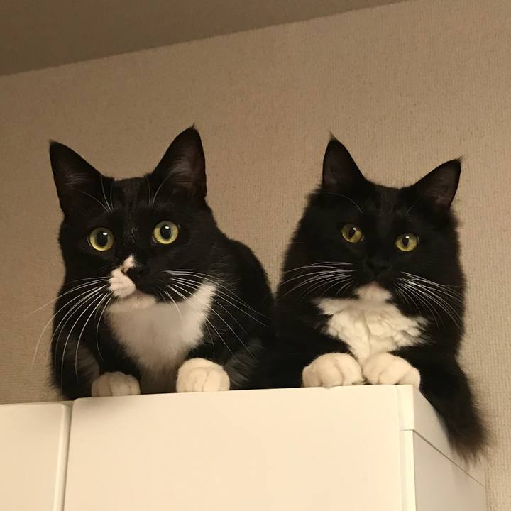 24b1f850 4715 4546 8869 a9ca32d58324