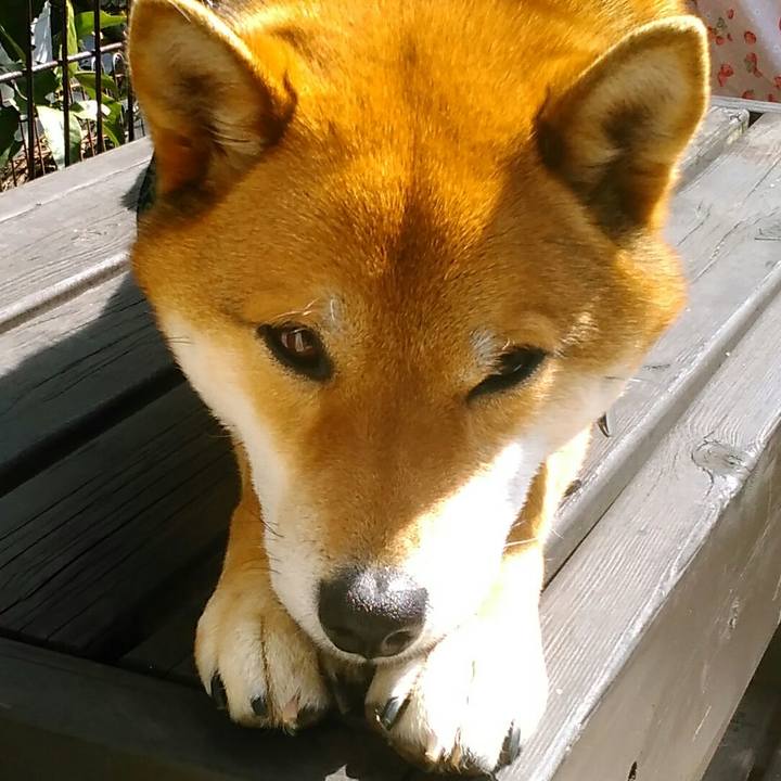 24b22436 2206 4d82 855d 23e13abb1790