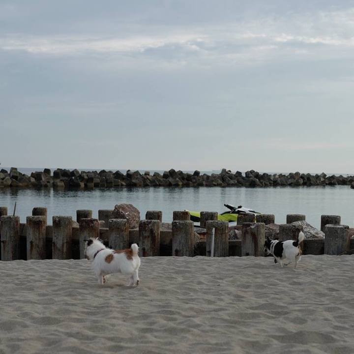 24b29d96 18b7 4f69 9ebc 16c60d9311a5