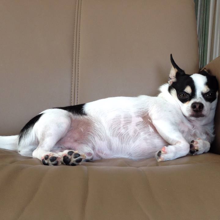 24b2f1ef 2eaf 4778 8052 20251a4f21df