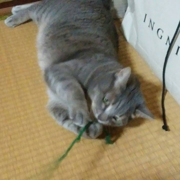 24b3bc6d 578d 4332 9355 bb42cdb0519a