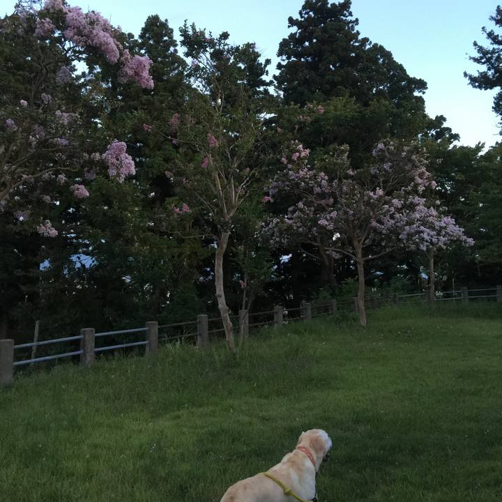 24b4044e 5148 468e 9c9f 2713b96d3163