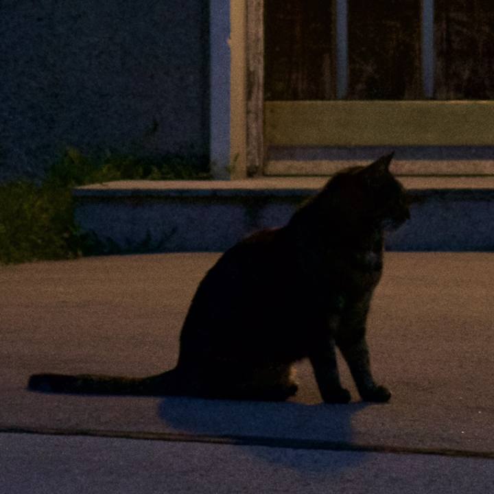 24b4c551 8ab8 4b76 a067 754b5e159f7b