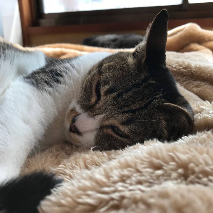 24b5c227 af32 4a4b aa83 8498baf11c55