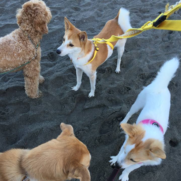 24b5d856 227f 4f31 b3f4 a73c07e06da7