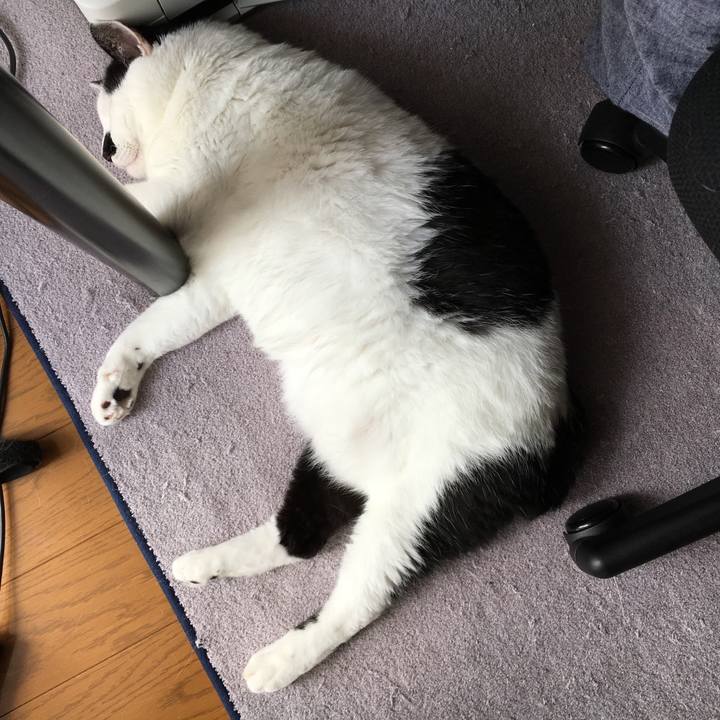 24b60f3f 15ca 4833 a15c 5b153adc291b