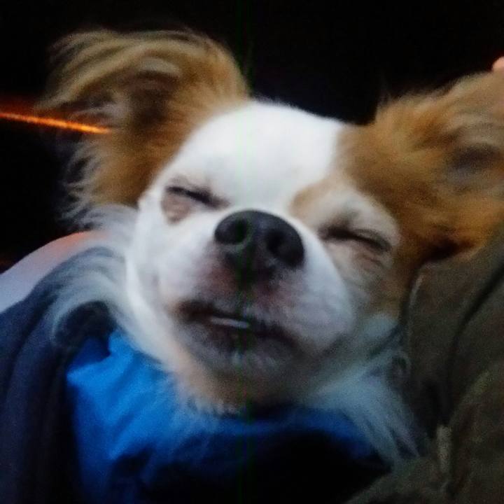 24b63e8d 4409 4e8e b45f 3a8711d02197