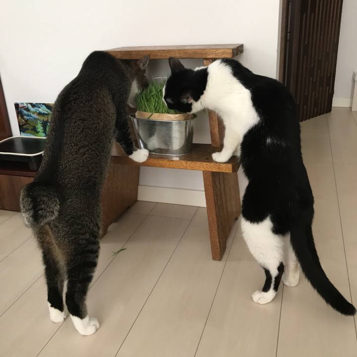 24b6b88d b514 408c 8360 bcda843a7c9a