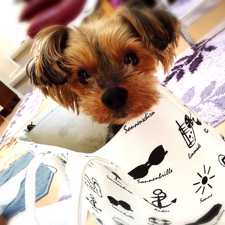 24b6d3e1 680c 4773 8784 125e41a4ef46