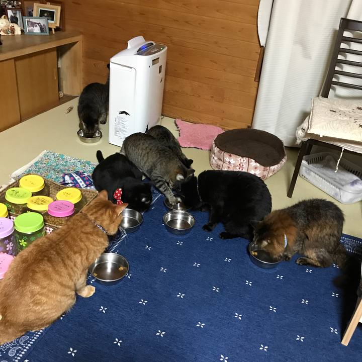 24b6fc1b d0ce 4b84 a716 44a8181acf59