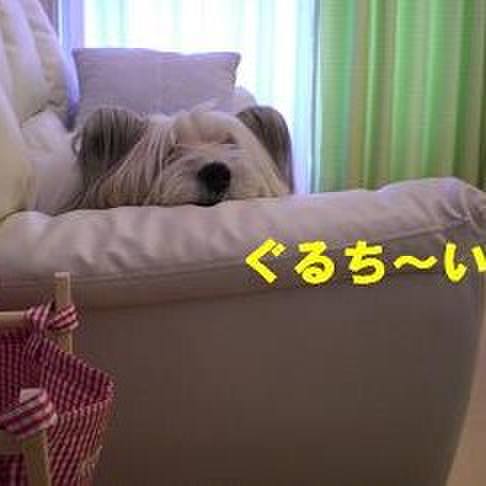 24b77f63 0d2e 4f7f a491 a7fd2bea9c94