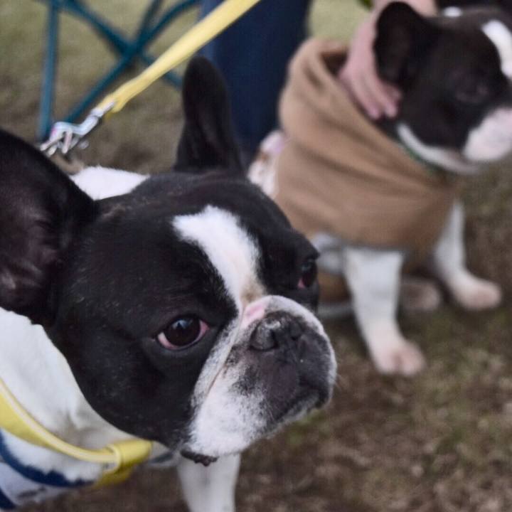 24b783a6 02b4 484f b694 4818f53ceb67