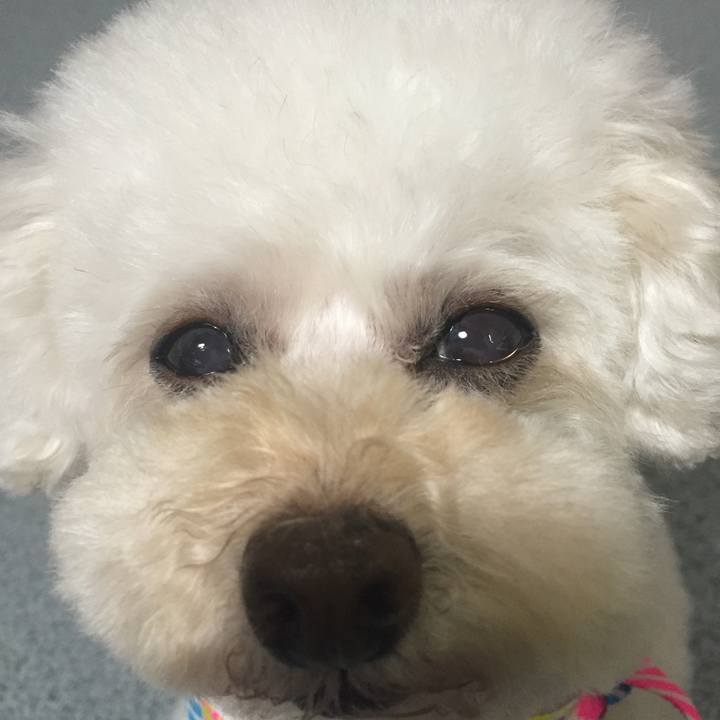 24b7a0c0 77cc 4168 a909 cbc9ced9a231