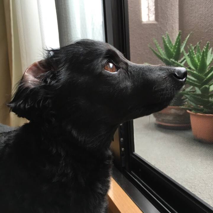 24b87969 60b3 40bf b078 87cfa77a9588