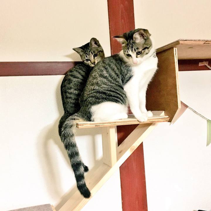 24b8d2dc 6638 4015 b190 7cdec46ed509