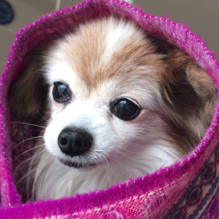 24b90c19 f3cd 44d8 9c9d 23a1c165b488