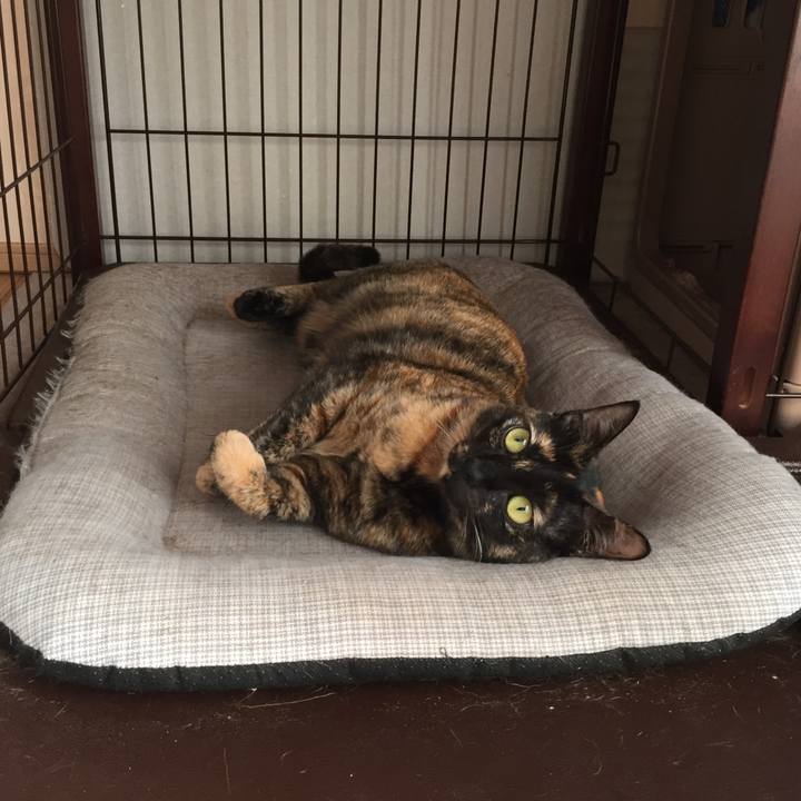 24b91d64 8235 4d26 a35e 14cfd1a371b2