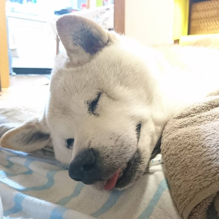 24b9fbad bea2 4288 8e23 e519d9300b02