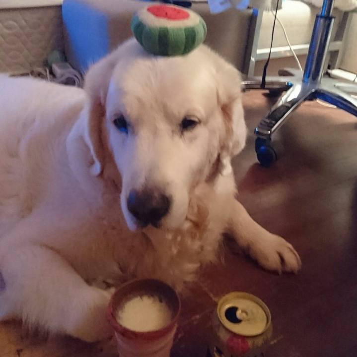 24ba3be5 0aba 4480 8386 a043c3e6d257