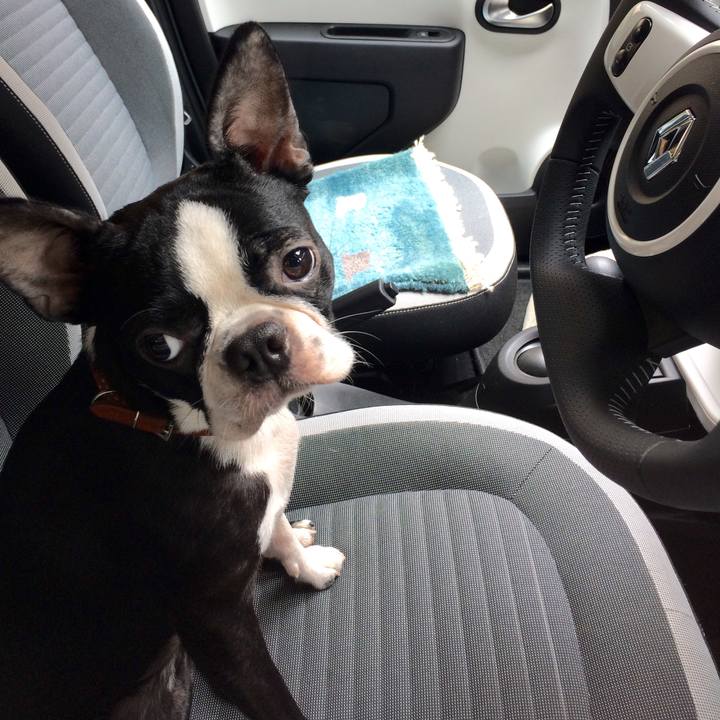 24bacf3e b599 4e1e aabd b4a31a898492