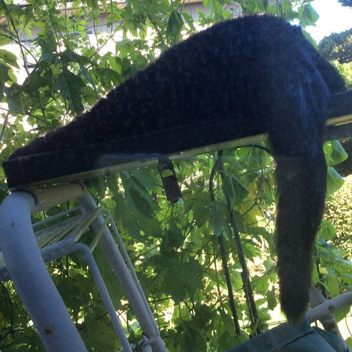 24bae11d 5c98 4489 bf5b 8e47077e0f0b