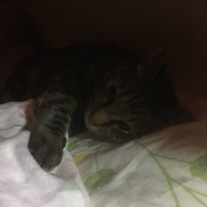 24bb2d7a aa0f 48f4 a971 7d0510957659