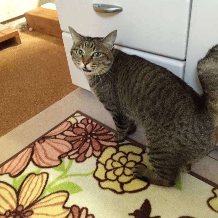 24bb5d67 be03 4d7d bc64 d06105e617a7