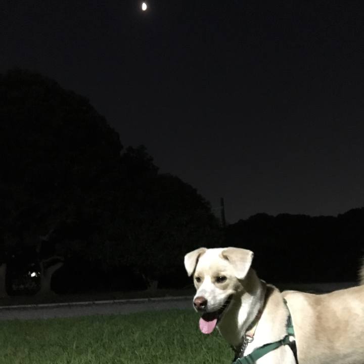 24bbaeca eae2 4a74 b969 0d5f6360123a