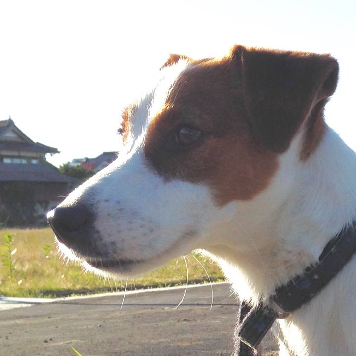 24bbb7a6 d85f 40d2 8eb9 a74f449c5f28