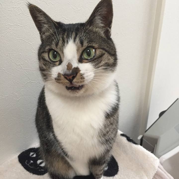 24bc19aa a3e6 43f2 90d3 4d1fcd9e4e29