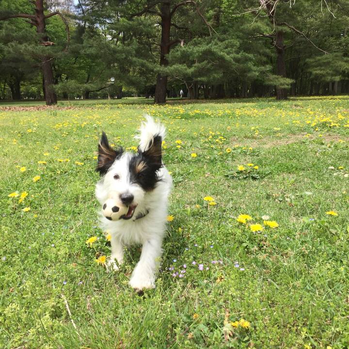 24bdbb41 81b4 41d3 9deb fb1ef92731b4