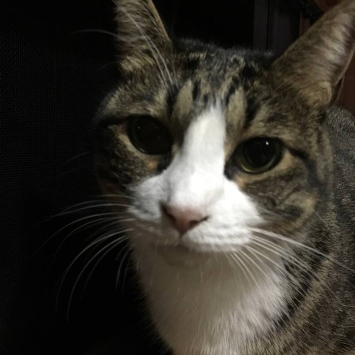 24bdc09d 6d98 4d10 963a 5e912b12a8ce