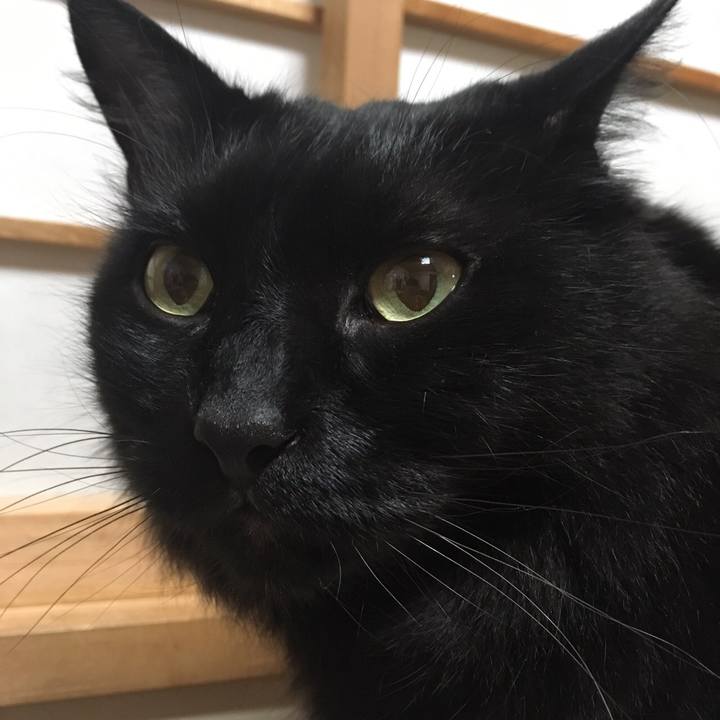 24be22fb 3399 471d 8a57 3b9635add5ea