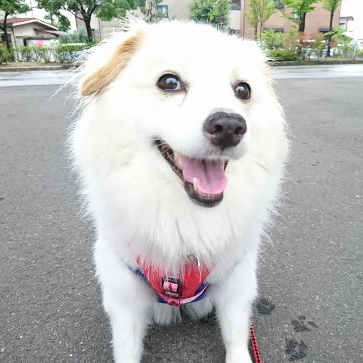 24bedefb 4470 4459 b02a 38c6bd580625